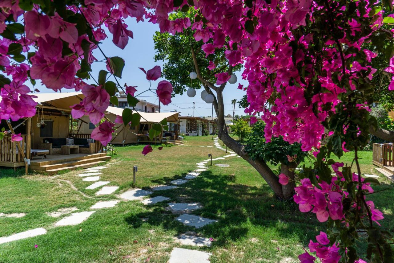 Theológos Logos Beach Village מראה חיצוני תמונה